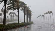 Fotografia de árvores sob fortes ventos do furacão Ian, na Flórida - Getty Images