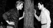 Cena de Elvis Presley no filme "Kissin Cousins", onde é interprete de dois papeis - Divulgação / MGM