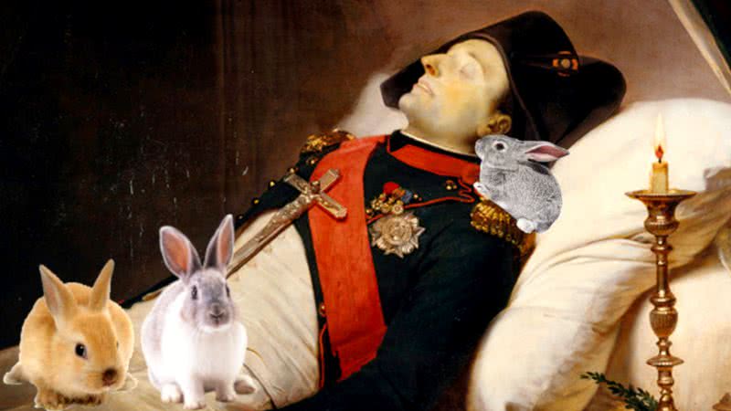 Montagem de Napoleão cercado por coelhos - Divulgação