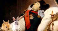Montagem de Napoleão cercado por coelhos - Divulgação