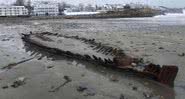O esqueleto do navio que naufragou há quase 250 anos em uma praia do Maine - Divulgação/ Registros de naufrágios americanos