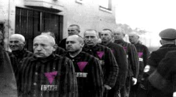 Durante o regime nazista, os homossexuais eram identificados com um triângulo rosa no uniforme - Wikimedia Commons