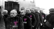 Homossexuais identificados com um triângulo rosa no uniforme em campos de concentração - Wikimedia Commons