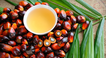 Frutos da palmeira e óleo de palma - Getty Images