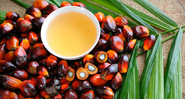 Frutos da palmeira e óleo de palma - Getty Images