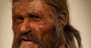 Ötzi, o homem do gelo - Wikimedia Commons