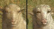 Antes e depois da restauração da ovelha - Reprodução Twitter