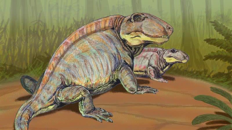 Sphenacodon, um réptil do período Permiano - Wikimedia Commons