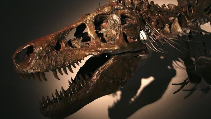Este dinossauro gigante é mais assustador do que o lendário T-Rex! Mundos  Escondidos 41 mil visualizações - há 1 semana Thumb: Tiranossauro matando  Espinossauro - iFunny Brazil