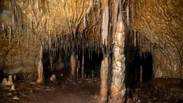 Algumas das formações dentro de gruta descoberta na Espanha - Divulgação/Universidade de Múrcia