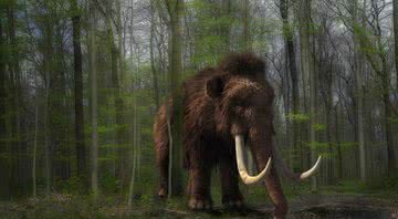 Imagem ilustrativa de uma representação de mamute - Pixabay