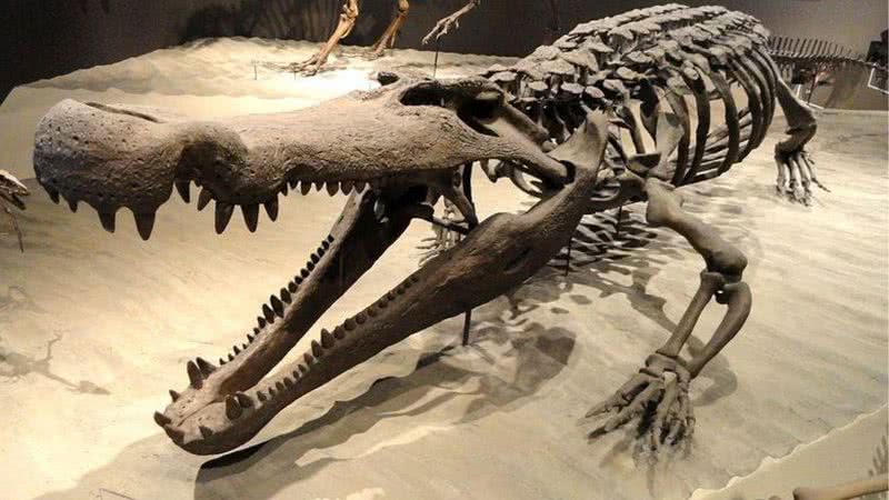 Esqueleto de Deinosuchus. - Wikimedia Commons