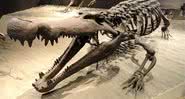 Esqueleto de Deinosuchus. - Wikimedia Commons
