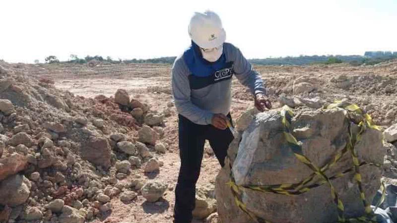 Fósseis encontrados em município mineiro - Divulgação/Paulo César Silva Macedo
