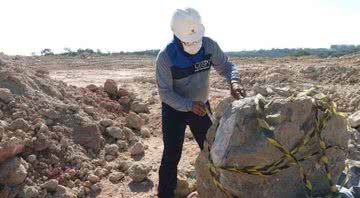 Fósseis encontrados em município mineiro - Divulgação/Paulo César Silva Macedo