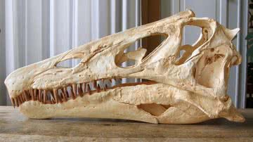 Crânio do Irritator challengeri em reconstrução realizada com impressora 3D - Reprodução/Twitter/Olof Moleman