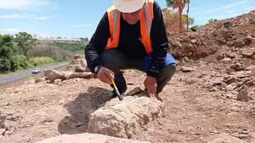 Um dos blocos com fósseis sendo escavados em local de descoberta recente - Divulgação/Geopac