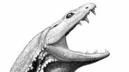 Representação artística da cabeça do Crassigyrinus scoticus - Divulgação/Bob Nicholls 2018