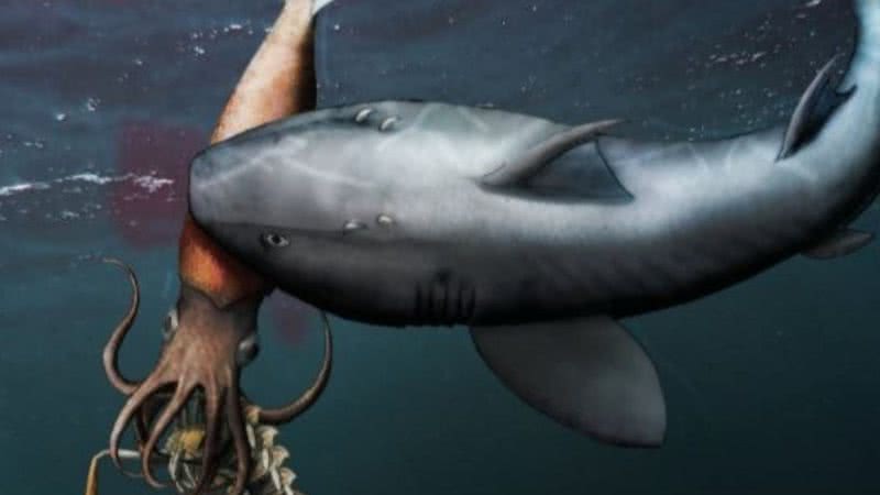 Reconstrução artística de um tubarão antigo capturando uma 'lula' que, por sua vez, se alimentava de um crustáceo - Divulgação/ Swiss Journal of Palaeontology
