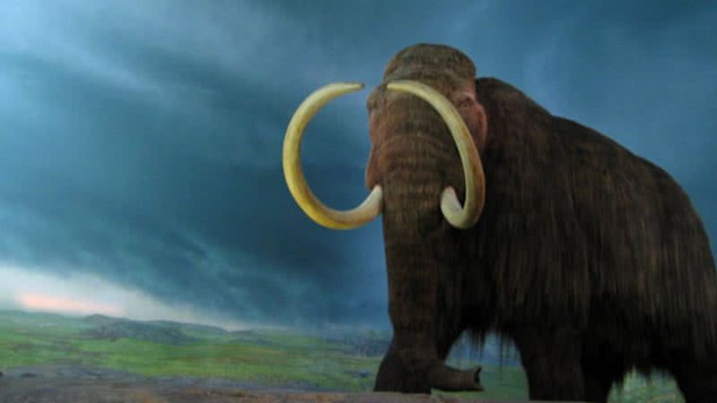 Ilustração de mamutes-lanosos - Divulgação/Wikimedia Commons/Rpongsaj Royal BC Museum, Victoria, British Columbia