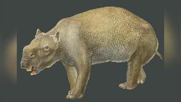 Ilustração do Diprotodon - Divulgação/WA Museum/Peter Schouten