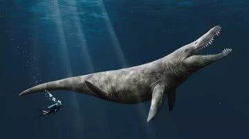 Representação artística do pliossauro, predador que tinha o dobro do tamanho de uma orca - Divulgação/Megan Jacobs/Universidade de Portsmouth