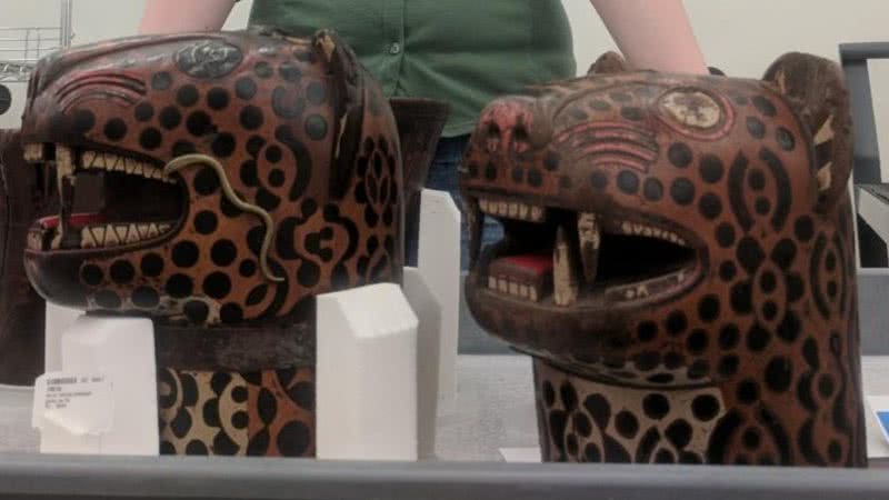 Duas das cabeças relatadas pelos paleontologistas - Alyson Thibodeau
