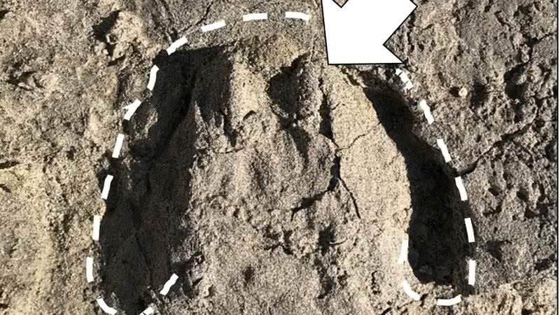 Uma das pegadas de animais encontras na Tanzânia - Divulgação/Tessa Plint e Clayton Magill