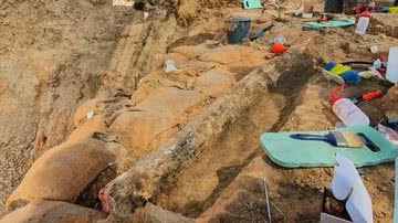 Presa encontrada em Israel - Divulgação / Israel Antiquities Authority