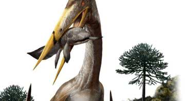 Representação de um pterossauro, de longo pescoço - Davide Bonadonna