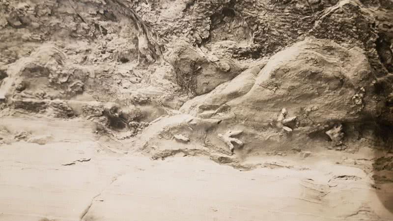 Pegadas encontradas em teto de caverna na Austrália - Anthony Romilio