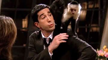 Cena entre David Schwimmer e o macaco Marcel - Warner Bros.