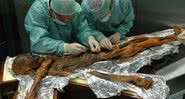 Pesquisadores analisando Ötzi - Divulgação/ South Tyrol Archeology Museum