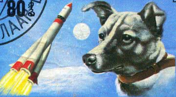 Laika, a cadela espacial soviética - Domínio Público