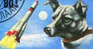 Laika, a cadela espacial soviética - Domínio Público