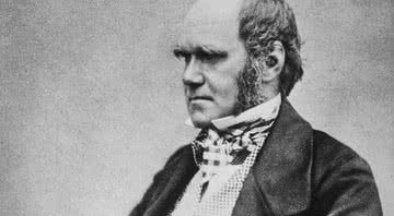 O naturalista Charles Darwin - Domínio Público via Wikimedia Commons