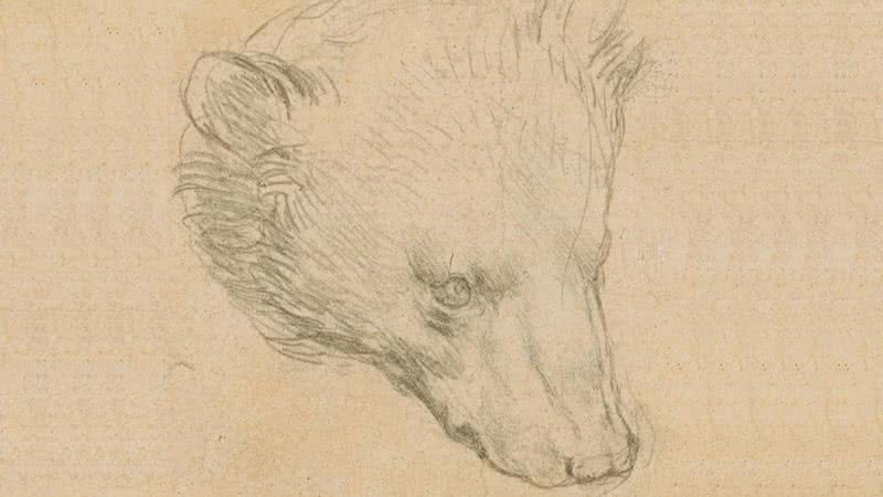 Desenho de da Vinci - Divulgação/Christie's