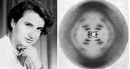 Rosalind Franklin realizou uma importante descoberta sobre o DNA - Divulgação