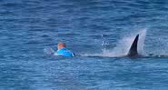 Mick Fanning escapa de tubarão durante prova - Divulgação / WSL