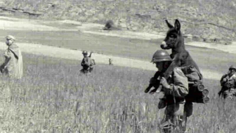 Imagem famosa de um soldado carregando um burro nas costas - Divulgação