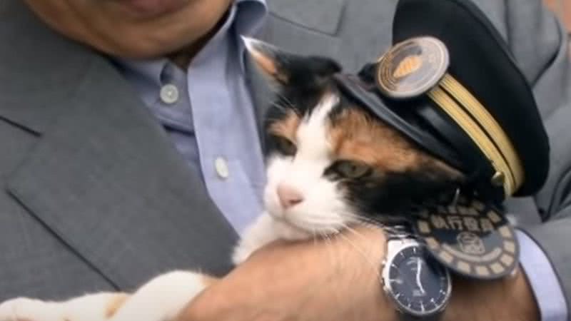 Tama, a gata da ferroviária - Divulgação / Youtube / Animal Planet