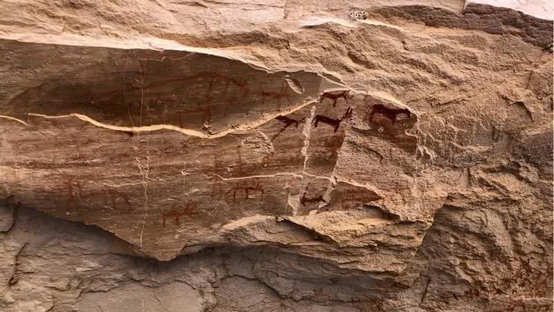 Pintura rupestre encontrada no Egito retrata animais, como mulas e burros, em proporções mais realistas - Divulgação/Ministry of Tourism and Antiquities