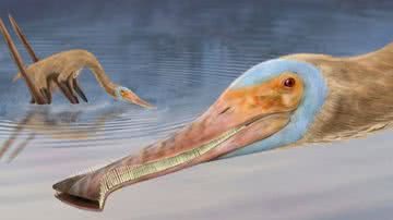 Ilustração de artista de como o novo pterossauro provavelmente era - Megan Jacobs/Universidade de Portsmouth