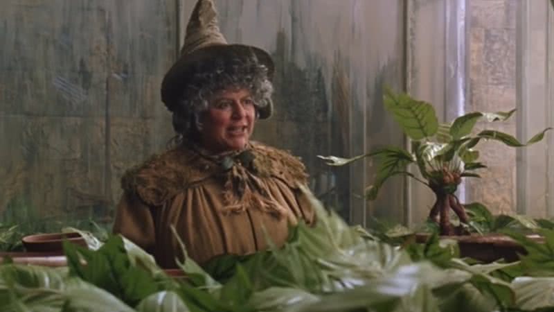 Miriam Margolyes, como professora Sprout, em Harry Potter e a Câmara Secreta - Reprodução/Vídeo/YouTube/Harry Potter