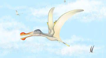 Ilustração do pterossauro dentado da espécie Anhanguera - Megan Jacobs