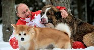 Putin brincando com seus cachorros em 2013 - Getty Images