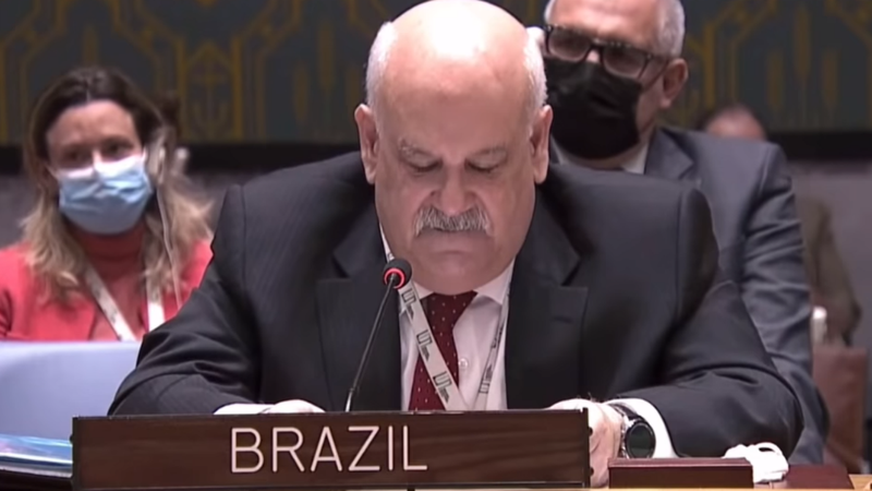 Ronaldo Costa Filho durante seu discurso sobre o conflito na ONU