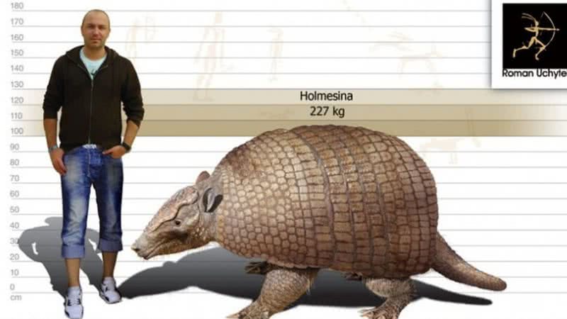 Tatu gigante que viveu no Brasil - Grupo de Paleontologia da UFSCar/Divulgação