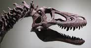 Tyrannosaurus rex juvenil - Divulgação