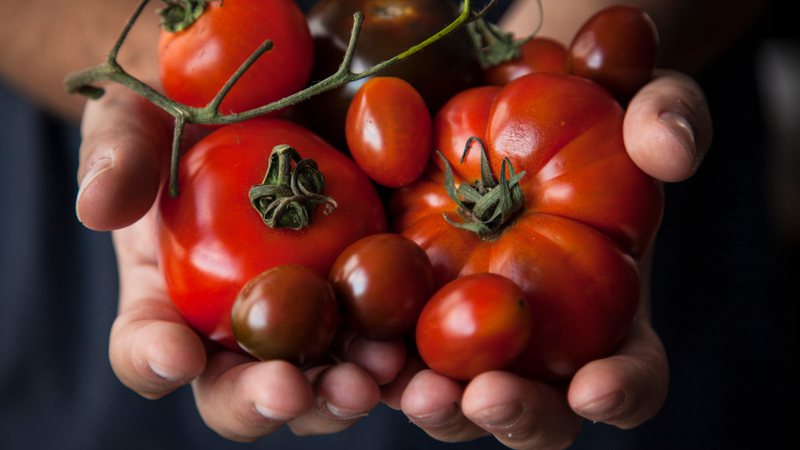 Ilustração de tomate - Getty Images